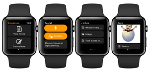 Catat dengan cepat dengan Apple Watch dan Snip Notes